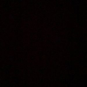 Meet your Posher, Jalen